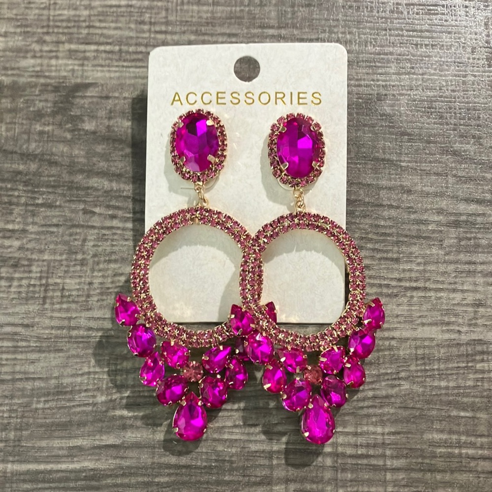 Hot Pink Large Earrings